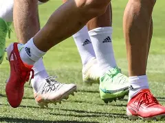 本菲卡训练开放日，今夜篮板制胜引欢呼，亚冠在即，赛程密集仍需轮换的简单介绍-一竞技官方入口